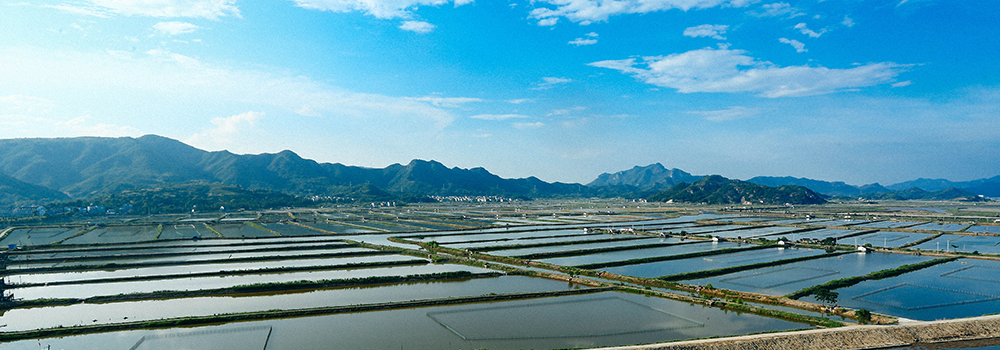 台山青蟹养殖基地图片